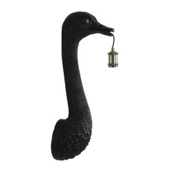 Ostrich fekete falikar L