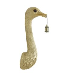 Ostrich arany falikar L