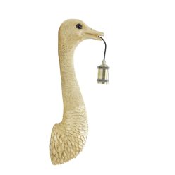Ostrich arany falikar M